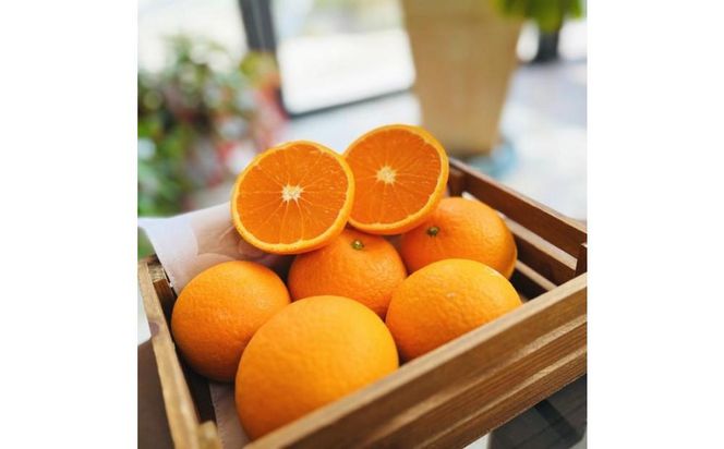 ya̎R쒬zI n  IW 2kgms\nmMS36n 303446_XD90187