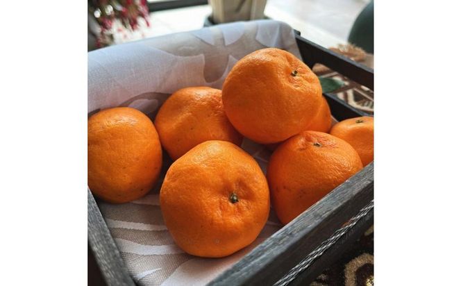 ya̎R쒬zI n |J 3kgms\nmMS49n 303446_XD90200