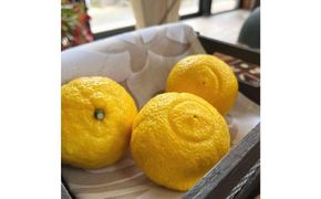 有田育ちの 完熟 はるかみかん（ご家庭用）約3kg［先行予約］［MS52］ 303446_XD90203