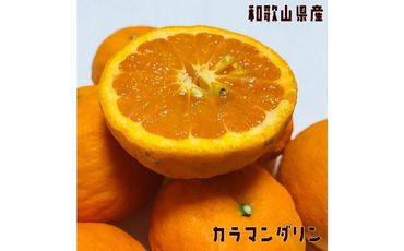 有田育ちの 完熟 カラマンダリン (ご家庭用) 約2kg [先行予約・2025年4月より発送][農園直送][MS73] 303446_XD90224