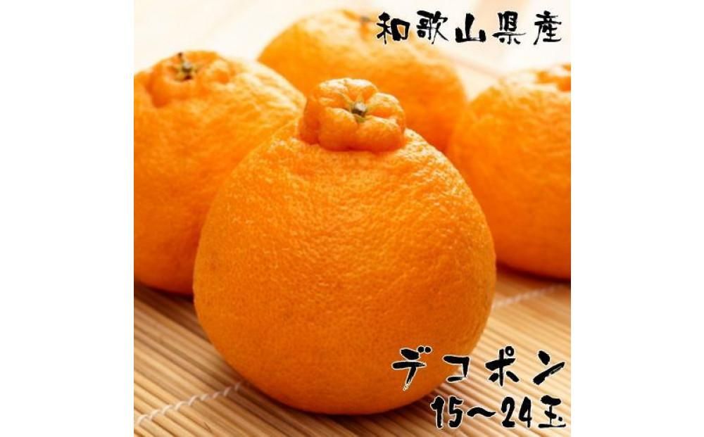 和歌山有田の濃厚デコポン 15〜24玉 約5kg[先行予約][MS78] 303446_XD90229