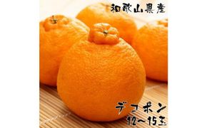 和歌山有田の濃厚大玉デコポン 12～15玉 約5kg［先行予約］［MS79］ 303446_XD90230