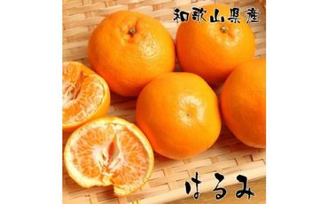 濃厚 はるみ みかん 2L 〜 3Lサイズ 約4kg 2025年1月下旬〜2月中旬頃に順次発送予定| 先行予約 みかん 柑橘 蜜柑 くだもの 果物 果実 フルーツ 和歌山 有田 [MS83] 303446_XD90234