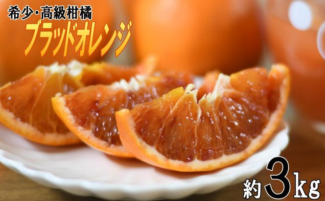 定期便全3回 【2月・3月・4月発送】 和歌山の春の柑橘 （ポンカン・はるか・ブラッドオレンジ）秀品【TM173】 303446_XH92233