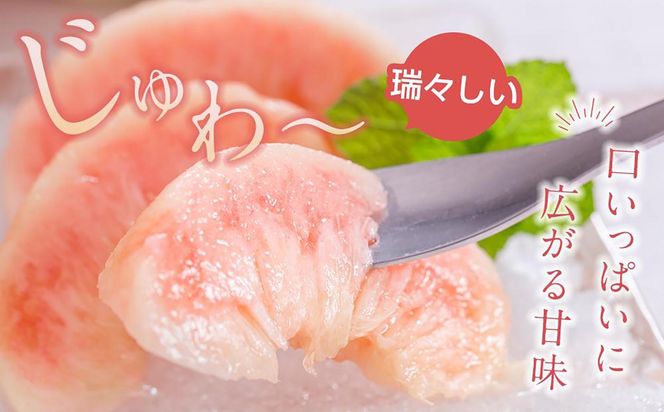 先行販売！［モモ］ 白鳳　桃の王様！約2kg6～8個 ［2026年6月下旬頃より順次発送］［秀品］こだわり農家厳選 ［KG12］ 303446_XM90012