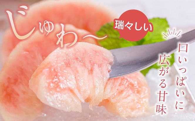 先行販売！【モモ】 白鳳　桃の王様！約2kg6～8個 【2025年6月下旬頃より順次発送】【秀品】こだわり農家厳選 【KG12】 303446_XM90012