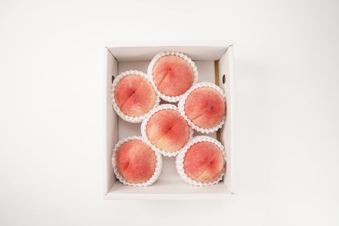 先行販売！［モモ］ 白鳳　桃の王様！約2kg6～8個 ［2026年6月下旬頃より順次発送］［秀品］こだわり農家厳選 ［KG12］ 303446_XM90012