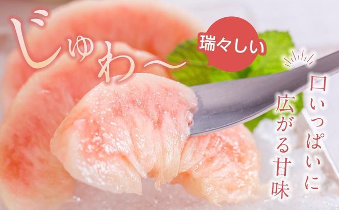 先行予約！［モモ］川中島白桃　約2kg 6～8個入［2026年7月末頃から順次発送］［秀品］こだわり農家厳選 ［KG13］ 303446_XM90013
