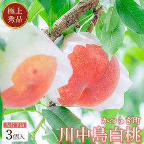 ［秀品］川中島白桃 食べきりやすい3個入り［2027年7月下旬頃より順次発送］こだわり 農家厳選 先行予約 モモ［KG16］ 303446_XM90016