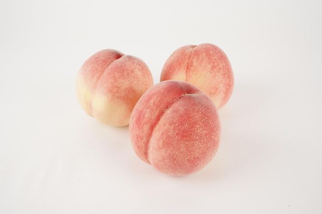 ［秀品］川中島白桃 食べきりやすい3個入り［2026年7月末頃から順次発送］こだわり 農家厳選 先行予約 モモ［KG16］ 303446_XM90016