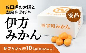 【期間限定】伊方みかん（温州みかん）10kg ｜ みかん 柑橘 温州みかん 果物 フルーツ 愛媛 ※2024年11月中旬～12月中旬頃に順次発送予定