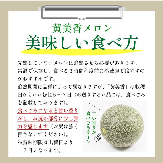 【先行予約／数量限定100】希少品種 黄美香（きみか）メロン 2玉（2024年7月中旬～発送）　国産 メロン めろん 2024フルーツ ふるーつ 果物 くだもの 農家応援 生産者応援 DE00099