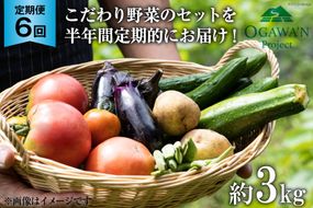 OGAWA'N　野菜セットの定期便（6ヵ月連続） [JA埼玉中央 埼玉県 小川町 137]