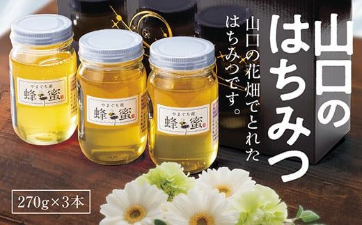 yRRszD028 R݂̂͂@270g×3{