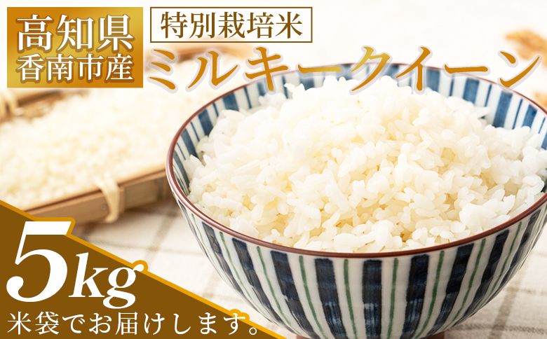 [2025年8月下旬以降順次発送]特別栽培米 ミルキークイーン 5kg 高知県香南市産 sr-0001