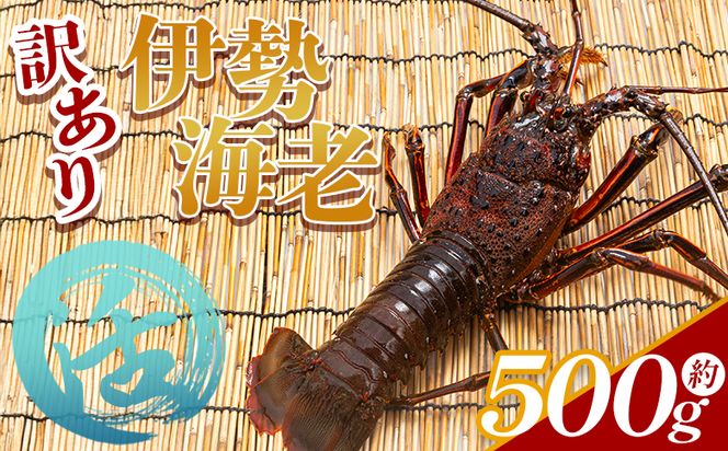 ymsz ɐCV v500g(1`2C) ① eb-0001