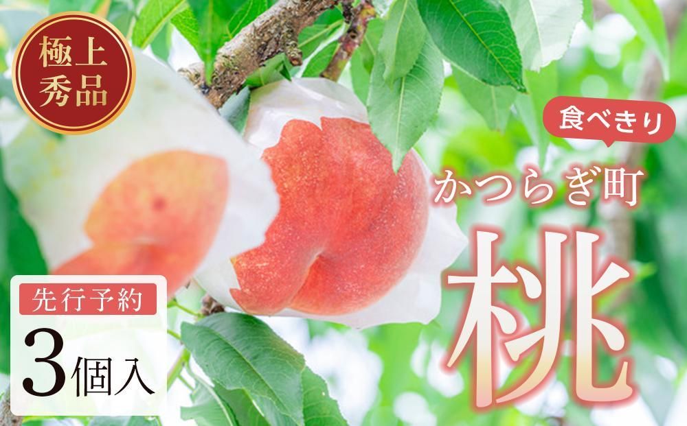 桃 極上秀品 食べきりやすい3個入 [先行予約][2025年7月末から8月末順次発送]こだわり農家厳選![KG18] 303446_XM90018