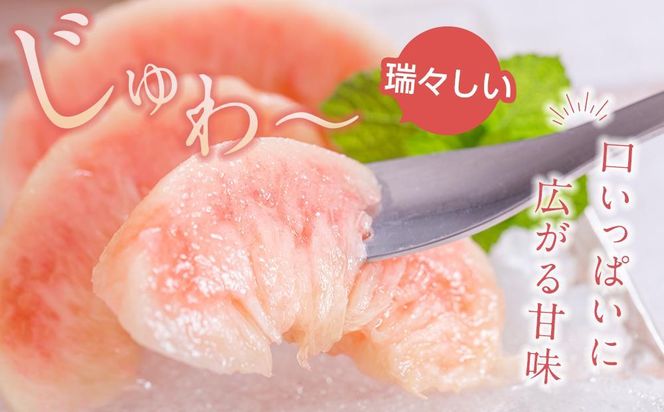 桃 極上秀品 約2kg 6～8個入［先行予約］［2026年7月末から8月末順次発送］こだわり農家厳選［KG19］ 303446_XM90019