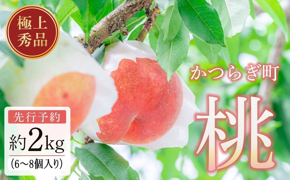 桃 極上秀品 約2kg 6〜8個入[先行予約][2026年6月下旬頃から順次発送]こだわり農家厳選[KG2] 303446_XM90002