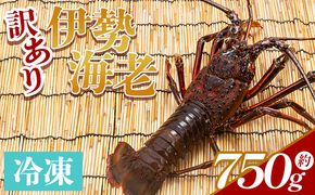 伊勢海老 計750g(1～3匹) 冷凍 eb-0025