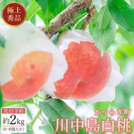 先行予約！［モモ］川中島白桃　約2kg 6～8個入［2026年7月末頃から順次発送］［秀品］こだわり農家厳選 ［KG13］ 303446_XM90013