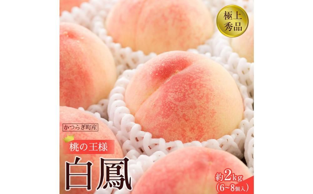 先行販売![モモ] 白鳳 桃の王様!約2kg6〜8個 [2026年6月下旬頃より順次発送][秀品]こだわり農家厳選 [KG12] 303446_XM90012