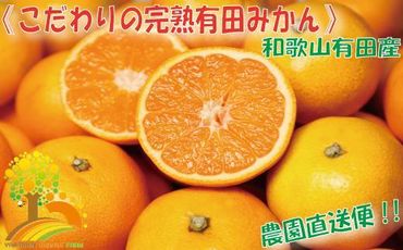 ＼農家直送／こだわりの有田みかん 約4kg【2024年11月より順次発送】 303446_BM1013