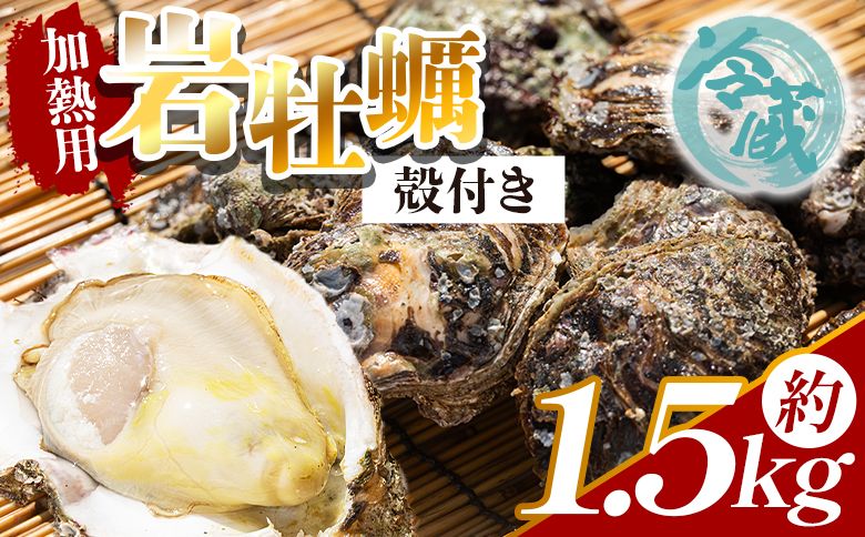 岩牡蠣(殻付き) 1.5kg 冷蔵 加熱用 - 国産 カキ かき 牡蠣 魚介 海鮮 貝類 殻つき 天然 産地直送 肉厚 フライ 焼き牡蠣 海の幸 えび蔵 高知県 香南市 冷蔵 eb-0007