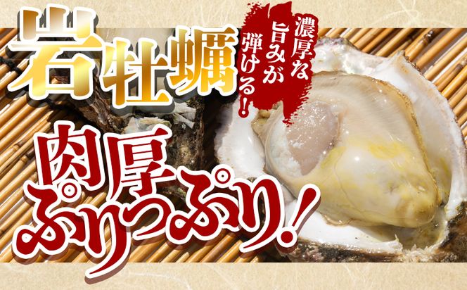 ＜先行予約＞岩牡蠣(殻付き) 2kg 冷蔵 加熱用 ＜出荷期間：2026年5月～10月＞ 国産 天然 eb-0034