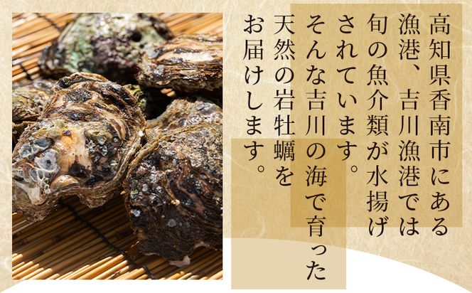 ＜先行予約＞岩牡蠣(殻付き) 1.5kg 冷蔵 加熱用 ＜出荷期間：2026年5月～10月＞ 国産 天然 eb-0033