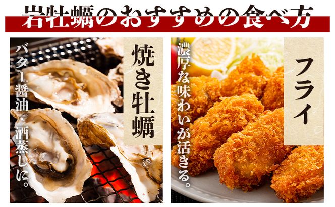 ＜先行予約＞岩牡蠣(殻付き) 1.5kg 冷蔵 加熱用 ＜出荷期間：2026年5月～10月＞ 国産 天然 eb-0033