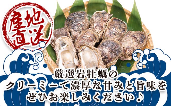 ＜先行予約＞バーベキューセット(伊勢海老・岩ガキ) 2〜3人前＜出荷期間：2026年5月～10月＞ 冷凍 海鮮BBQ eb-0036