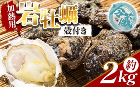 ＜先行予約＞岩牡蠣(殻付き) 2kg 冷蔵 加熱用 ＜出荷期間：2026年5月～10月＞ 国産 天然 eb-0034