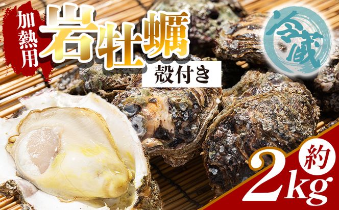 ＜先行予約＞岩牡蠣(殻付き) 2kg 冷蔵 加熱用 ＜出荷期間：2026年5月～10月＞ 国産 天然 eb-0034