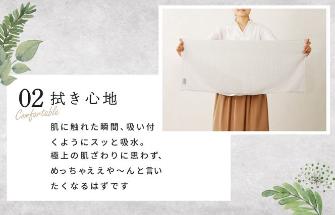 099H4217 めっちゃええや～ん24 フェイスタオル 6枚 ホワイト【泉州タオル 国産 吸水 普段使い 無地 シンプル 日用品 家族 ファミリー】