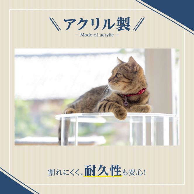 アクリル製キャットタワーmedium［149F03］