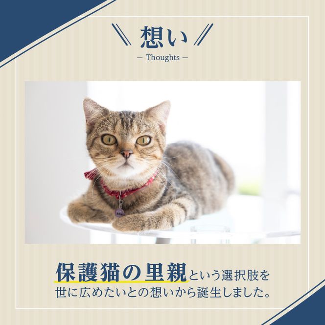 アクリル製キャットタワーmedium［149F03］