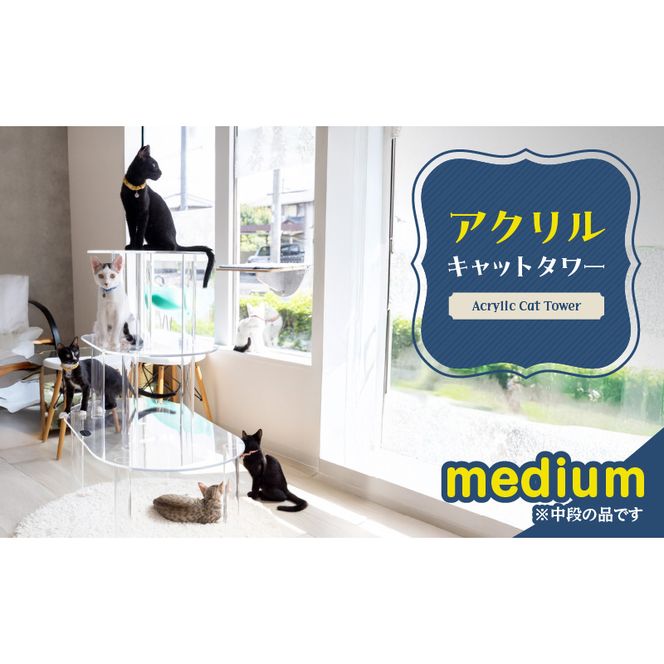 ymqszANLbg^[mediumm149F03n