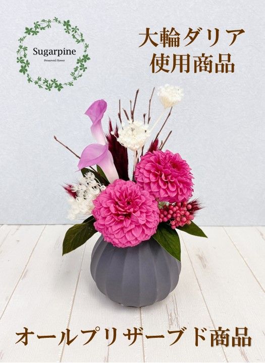 yʌtszAJ095-2 vU[uht[yOCX/Xgx[zts VK[pC