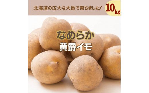 【予約：2024年10月中旬から順次発送】北海道 JAきたみらい「黄爵(とうや)いも」10kg ( 期間限定 野菜 芋 )【005-0013-2024】