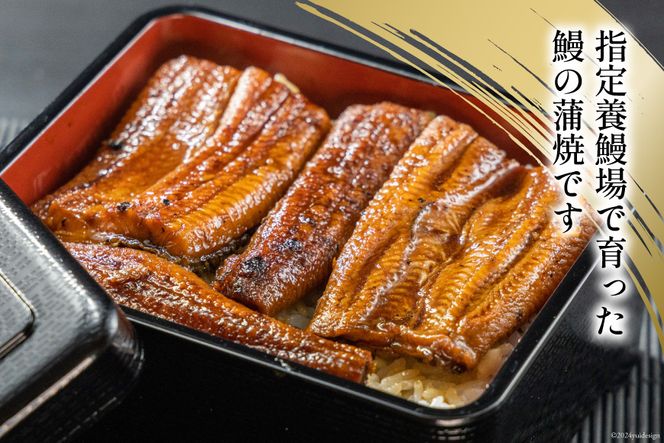 静岡県産 うなぎ蒲焼 パックカット 80g ×2パック [静岡鰻販売 静岡県 吉田町 22424148] レンジ うなぎ 鰻 レンチン ウナギ 蒲焼き 蒲焼 タレ付き 冷凍