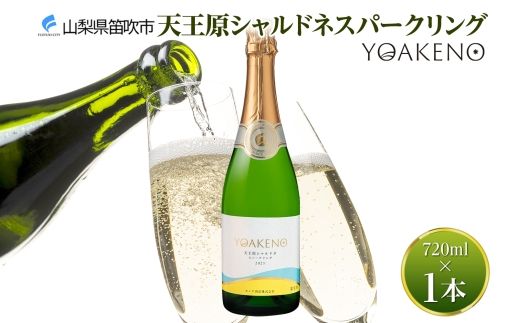 yRJszsnl ΉtYOAKENO V Vhl Xp[NO 720ml×1{ 177-4-090