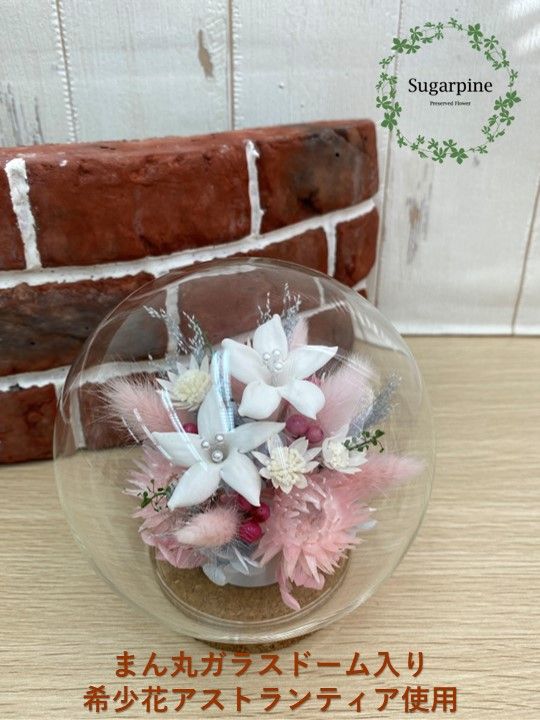 yʌtszAJ129-1 vU[uht[yAAzts VK[pC