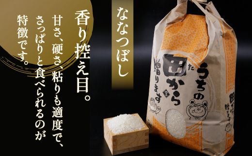 ■3ヵ月連続お届け【定期便 3回】北海道 豊浦 令和5年産 精米 ななつぼし 5kg TYUQ004