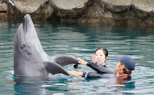 ドルフィンスイム１名（５歳以上小学生） dr013