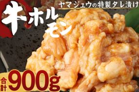 ヤマジュウの特製タレ漬け！国産牛ホルモン９００ｇ　yj063