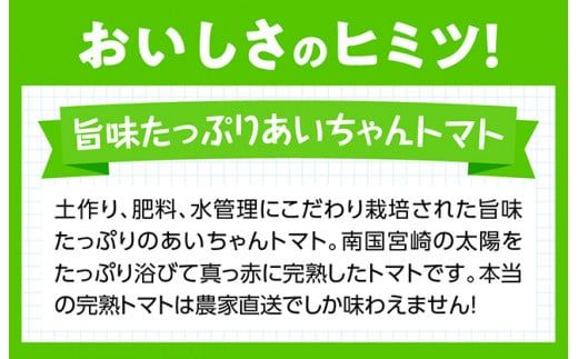 【令和8年発送】【訳あり】宮崎県産トマト　フルーツトマト「あいちゃん」3kg 【 野菜 ミニトマト とまと 宮崎県産 川南町産 野菜 産地直送 新鮮 数量限定 】[C03903]