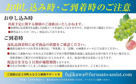 【2025年発送分 先行予約】シャインマスカット（１房） 600～800g　シャイン マスカット ぶどう ブドウ 葡萄 １房 600g 700g 800g 家庭用 自宅用 個人用 １人用 フルーツ 果物 くだもの 山梨 やまなし