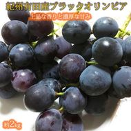 紀州有田産 ブラックオリンピア (ハチミツぶどう) 約2kg［2026年8月中旬以降発送予定］［UT107］ 303446_XF91159
