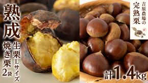 【 吉原農場 の 完熟栗 】 熟成 生栗 1kg Lサイズ ・ 焼き栗 2袋 セット 令和7年産 完熟 栗 くり クリ 栗ごはん 贈答 ギフト 果物 フルーツ 数量限定 旬 秋 冬 正月 おせち [CX006ci]